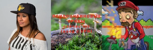 соль ск Нея