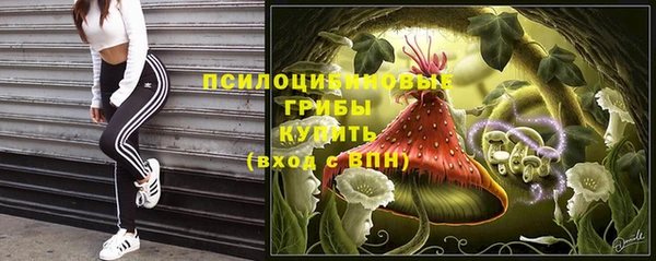 ПСИЛОЦИБИНОВЫЕ ГРИБЫ Алзамай