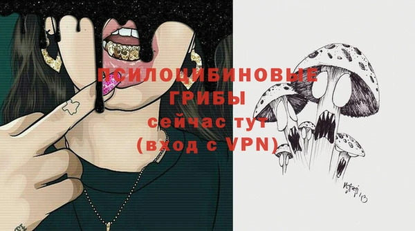 соль ск Нея
