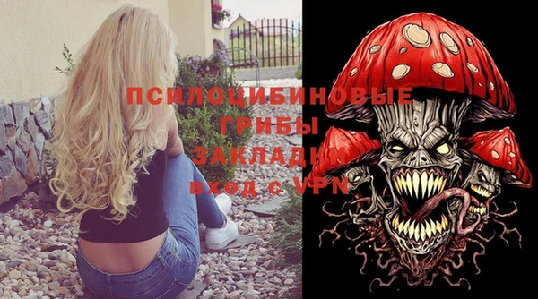 ПСИЛОЦИБИНОВЫЕ ГРИБЫ Алзамай