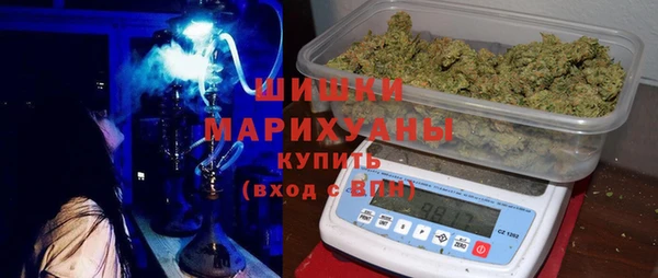 ПСИЛОЦИБИНОВЫЕ ГРИБЫ Алзамай