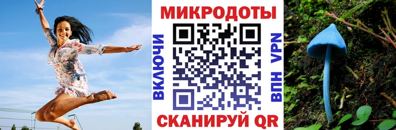 Галлюциногенные грибы мицелий  Бийск 
